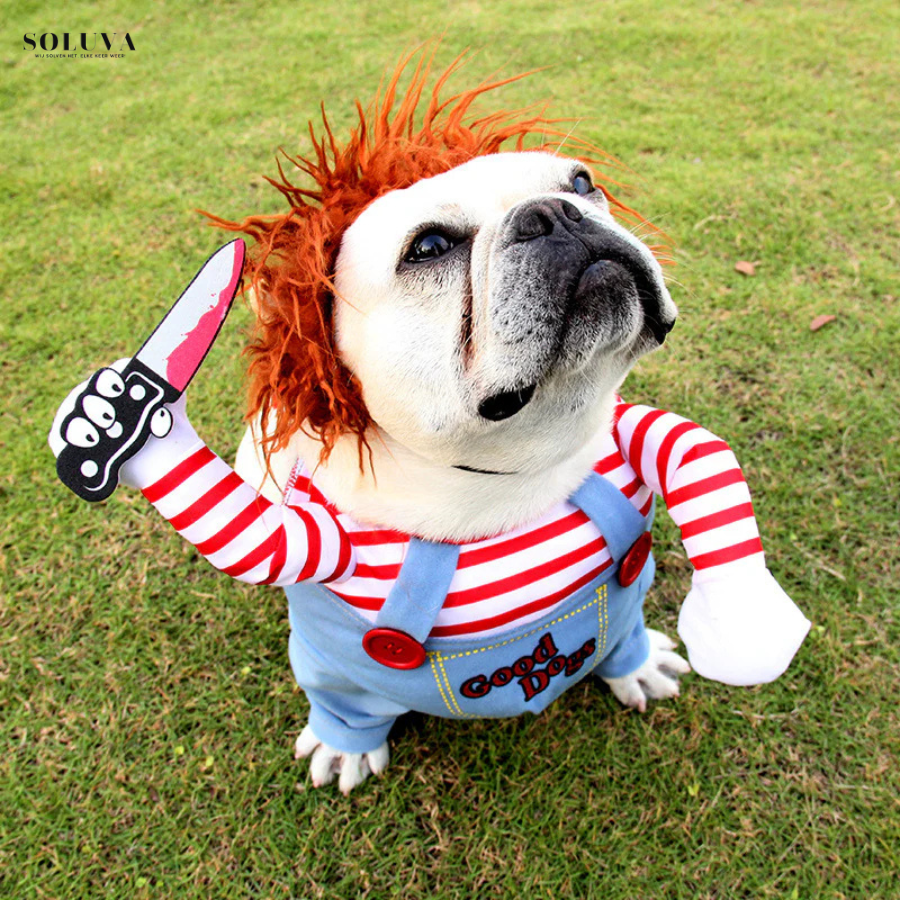 Chuky - Halloween Dog