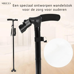 SaveStep Wandelstok