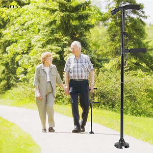 SaveStep Wandelstok