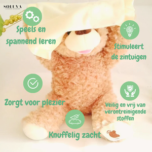 JingleBear - Het Winterknuffelbeertje