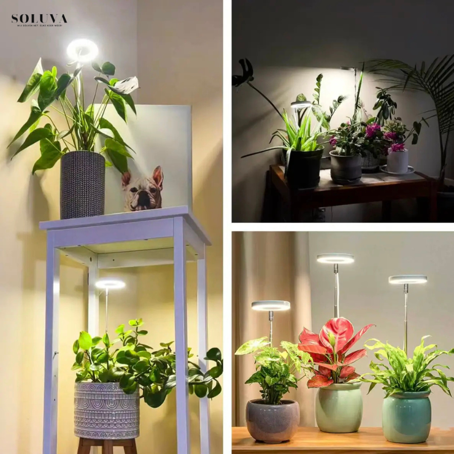 EcoGroei - Duurzame Groeiverlichting - Exclusieve Wintersale!
