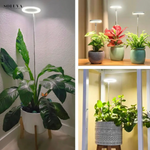 EcoGroei - Duurzame Groeiverlichting - Exclusieve Wintersale!