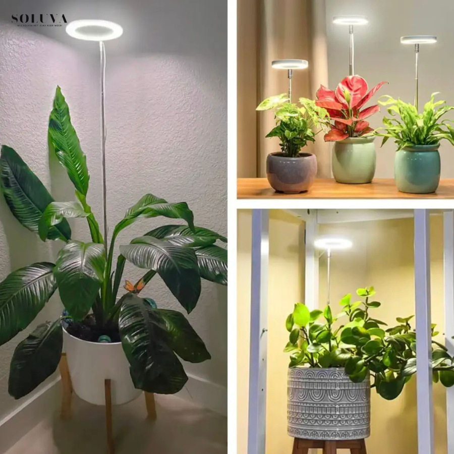 EcoGroei - Duurzame Groeiverlichting - Exclusieve Wintersale!