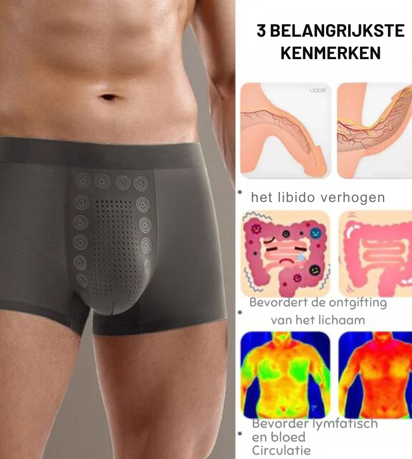 Nederlands_Nederlands_Nederlands_Nederlands_Nederlands_Nederlands_Nederlands_Nederlands_Nederlands_e247ac9a-45e1-4598-99ab-de303af8e729.png