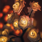Trendmerce™  | Rozenlamp 40% korting | Het perfecte Moederdag Cadeau |