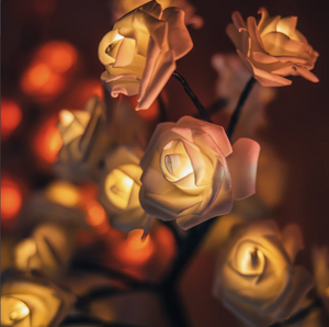 Trendmerce™  | Rozenlamp 40% korting | Het perfecte Moederdag Cadeau |